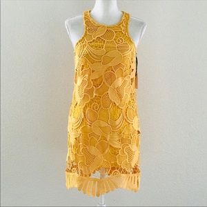 Lovers and friends caspian shift dress gold